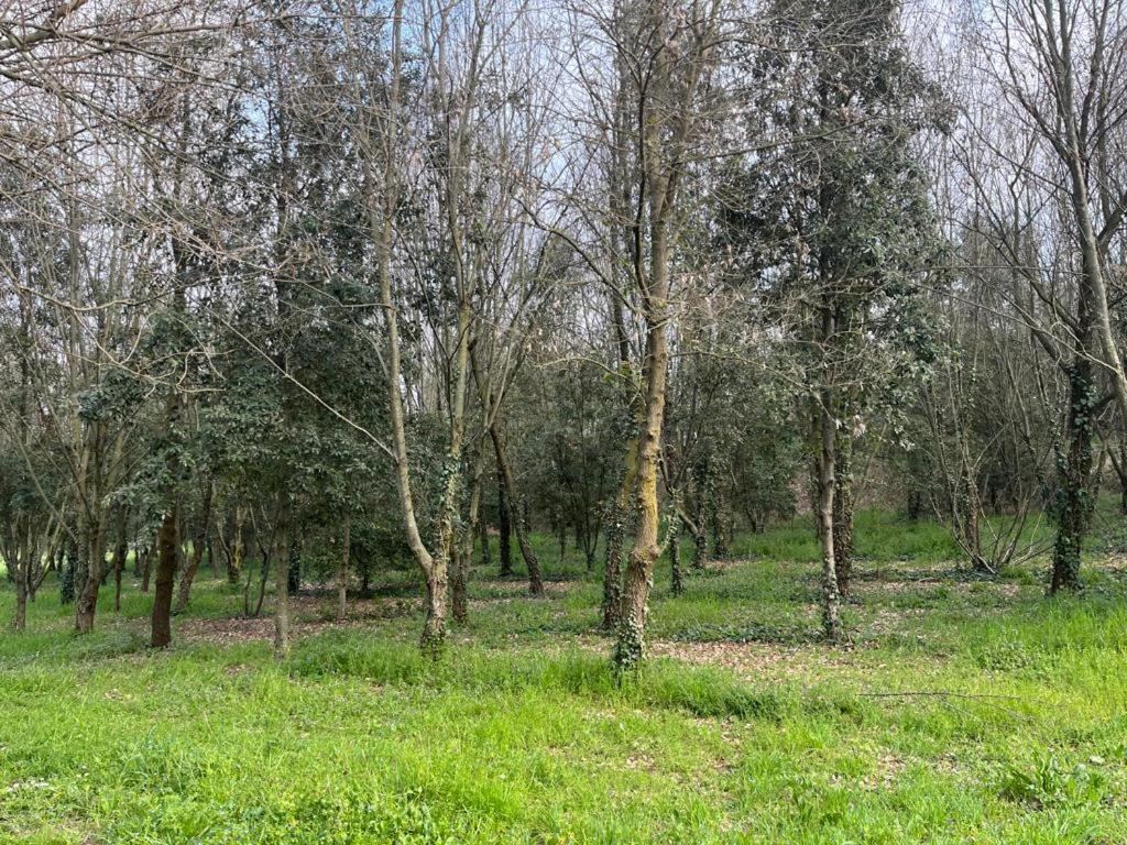 Green Woods Verona Exterior photo