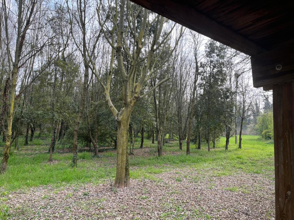 Green Woods Verona Exterior photo